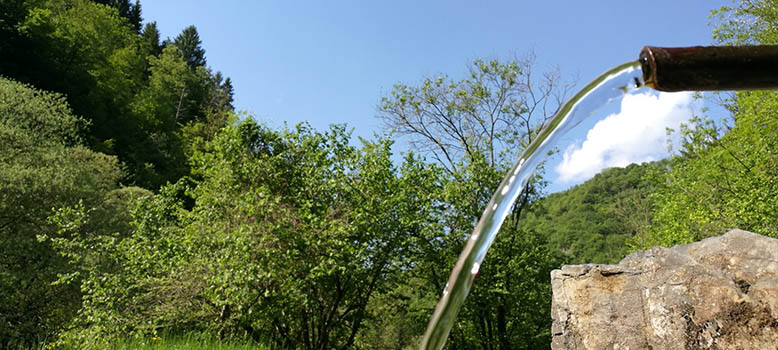 bracca in val serina